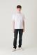 SHELTECH  Regular Tee