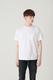 SHELTECH  Regular Tee
